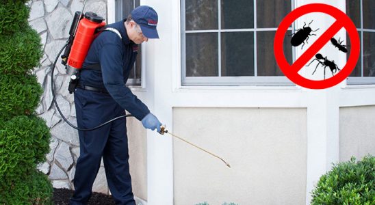Karatay Fare İlaçlama böcek ilaçlama ve haşere kontrolü — ilaclama-tr.com